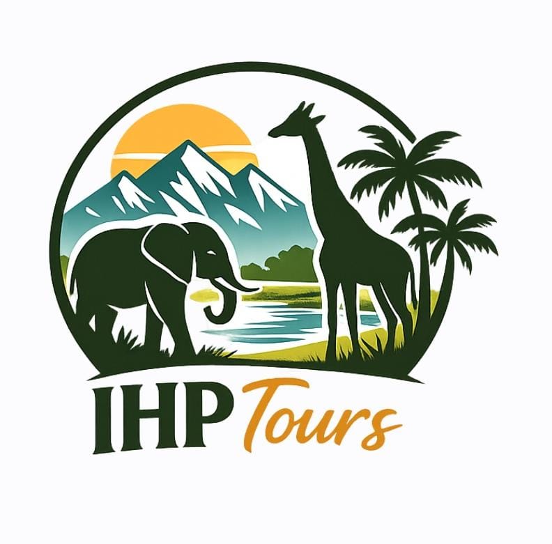 Insights Health Partners and Tours