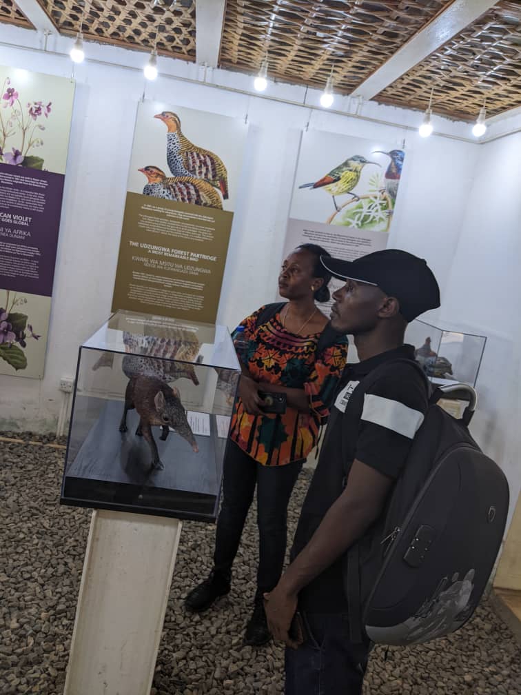 Conservation in Udzungwa and Rungwe Mountains, Tanzania